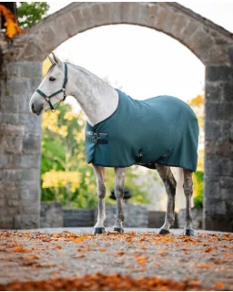 Dynasty Green/Navy and Silver