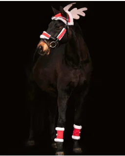 Waldhausen Rensdyr udklædning