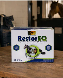 TRM RestorEQ 60x15 G