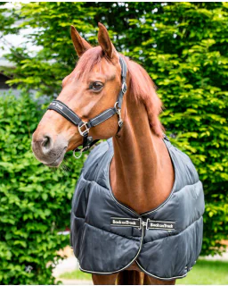 Rhyolite Insulated Liner 100G fra Back on Track