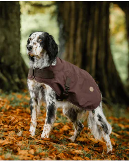 Horseware Newmarket Heritage Hundedækken