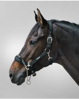 Waldhausen Pro Safety Halter Full