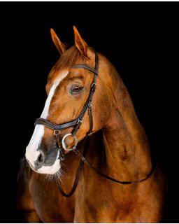 Horseware Micklem Competition Trense