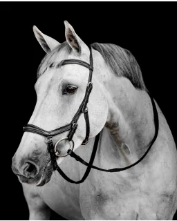 Horseware Micklem Deluxe Competition Trense