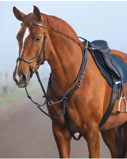 Horseware Micklem Fortøj med Martingal 