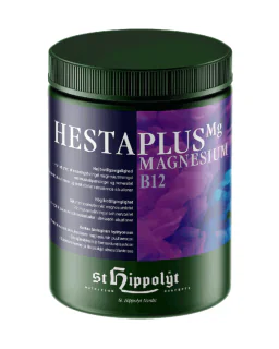St. Hippolyt HestaPlus Magnesium B12 1000G