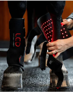 LED Red Light Therapy Leg Wrap fra Horseware