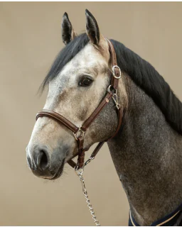 Blød Lædergrime Working Collection fra Dy'on