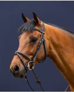 Trense med Flash Næsebånd Working fra Dy'on