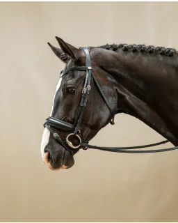 Trense med Matte Large Crank Næsebånd Flash Working Collection fra Dy'on