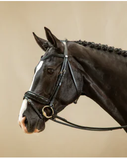 Trense med Patent Large Crank Næsebånd Bridle Flash Working Collection fra Dy'on