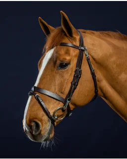 Flat Leather Trense Karabinhager Working Collection fra Dy'on