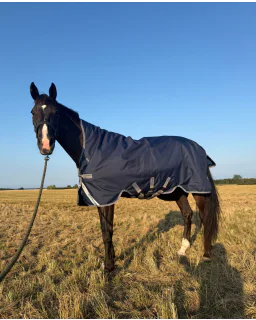 Horseware Amigo Ripstop 900D Wug Turnout 150g Limited Edition