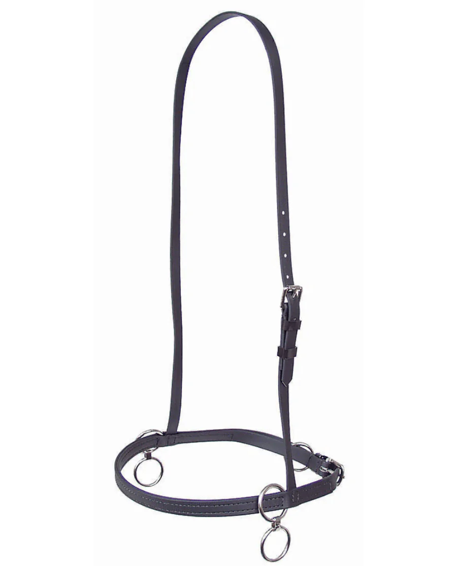 Walsh Spærregrime Beta