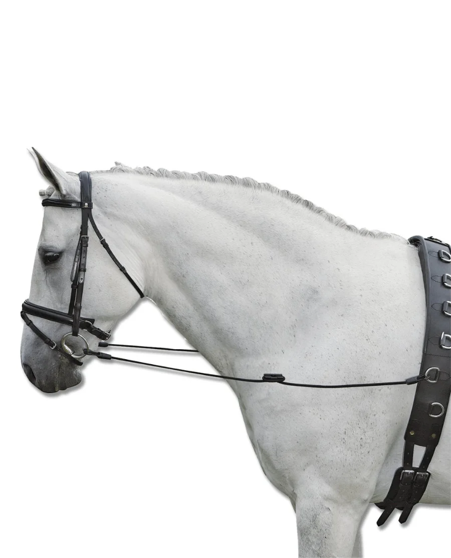 Side Reins Fully Elastic sort