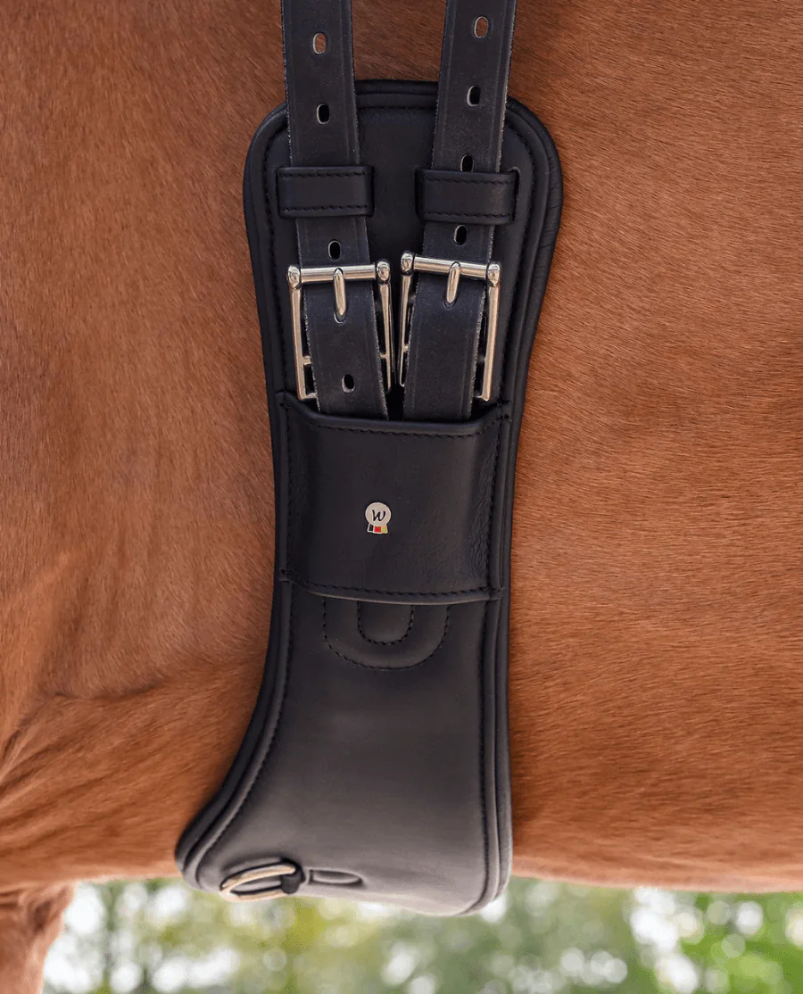 Waldhausen Anatomisk dressurgjord i læder