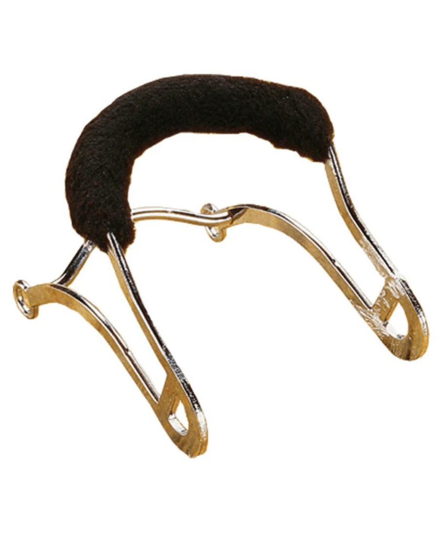 Wahlsten Raymoncheck