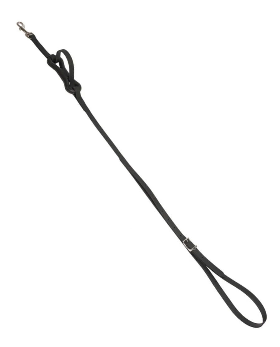 Wahlsten Premium Springrem Biothane