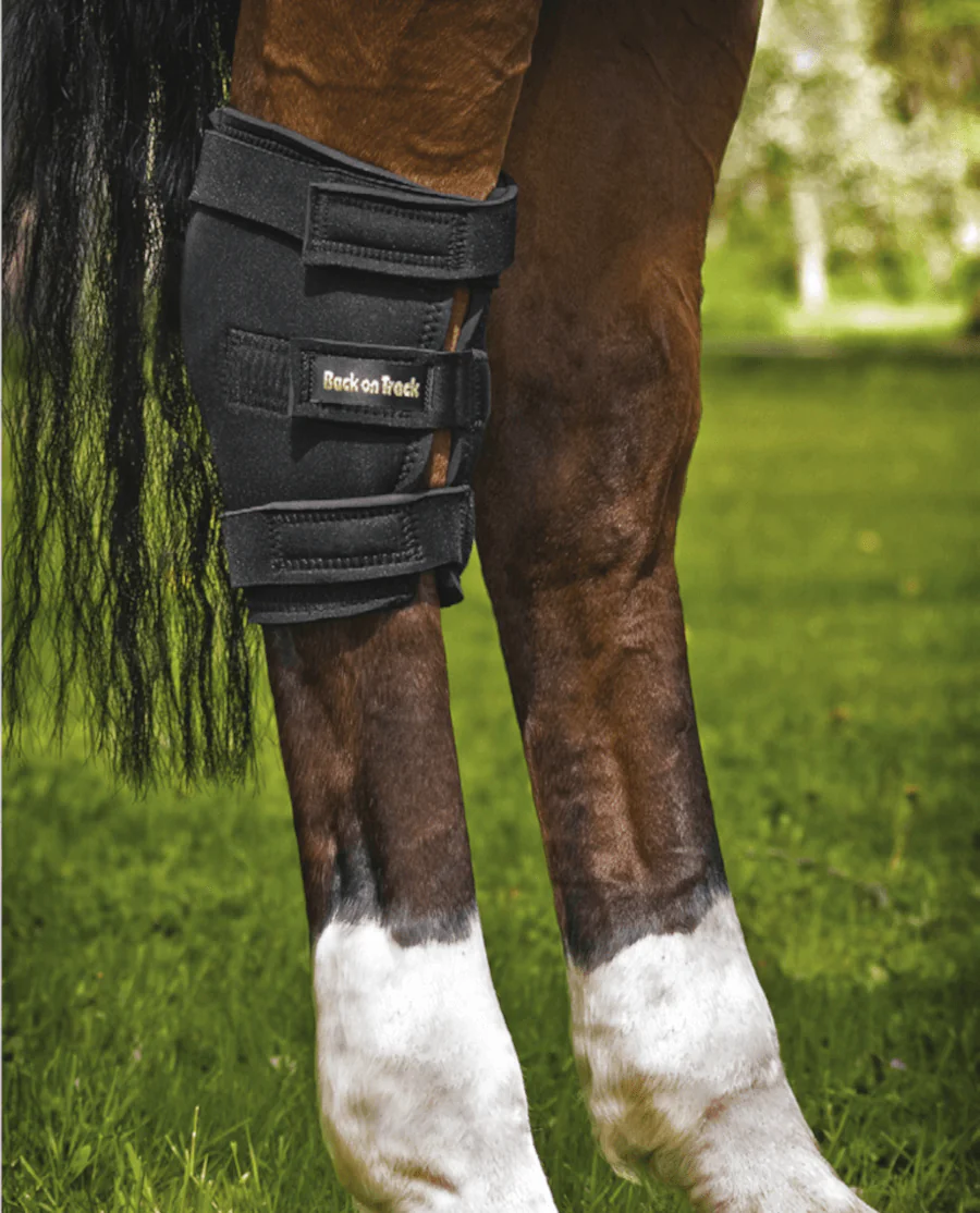 Hasebandager fra Back on Track