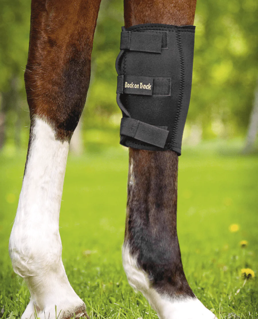 Knæbandage hest fra Back on Track