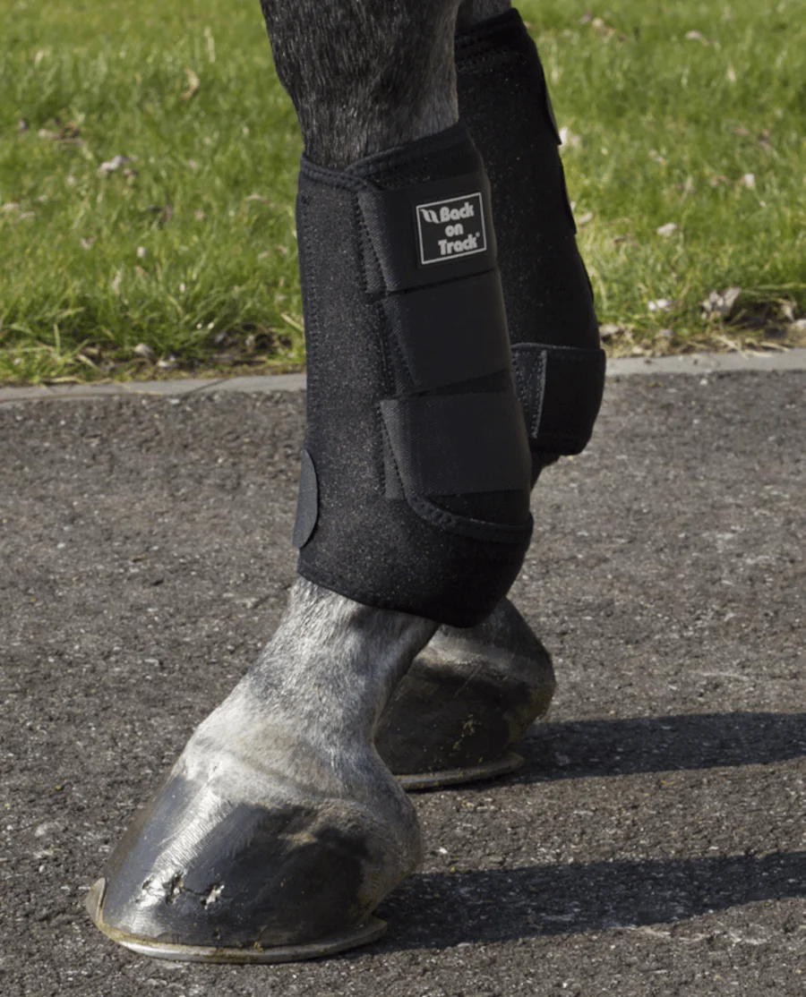 Royal Ridegamache fra Back on Track