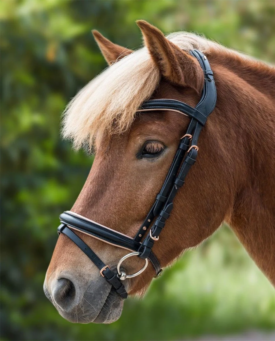 Waldhausen trense til islænder Rose