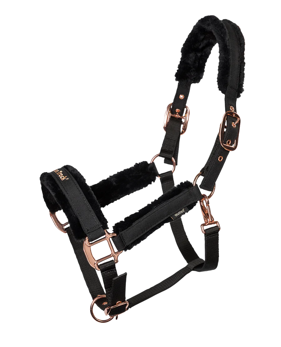 Haze Collection Grime fra Back on Track - Black