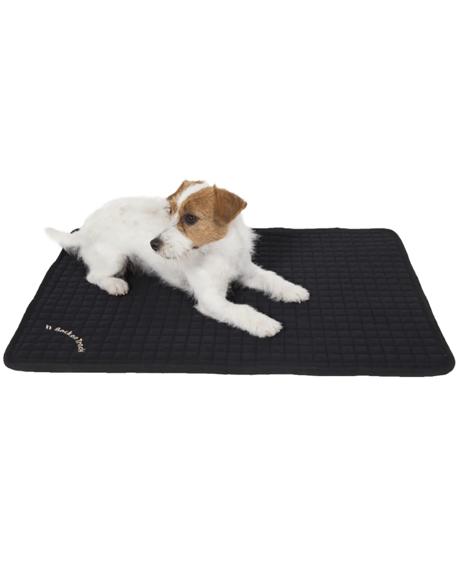 All round hundemadras fra Back on Track
