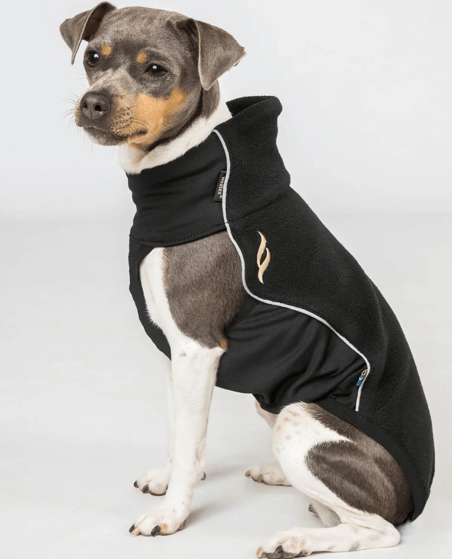 Back on Track Eddie Petite Hundetrøje