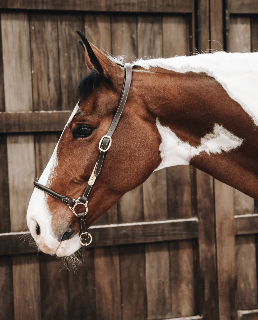 Læder Grooming Grime fra Kentucky Horsewear