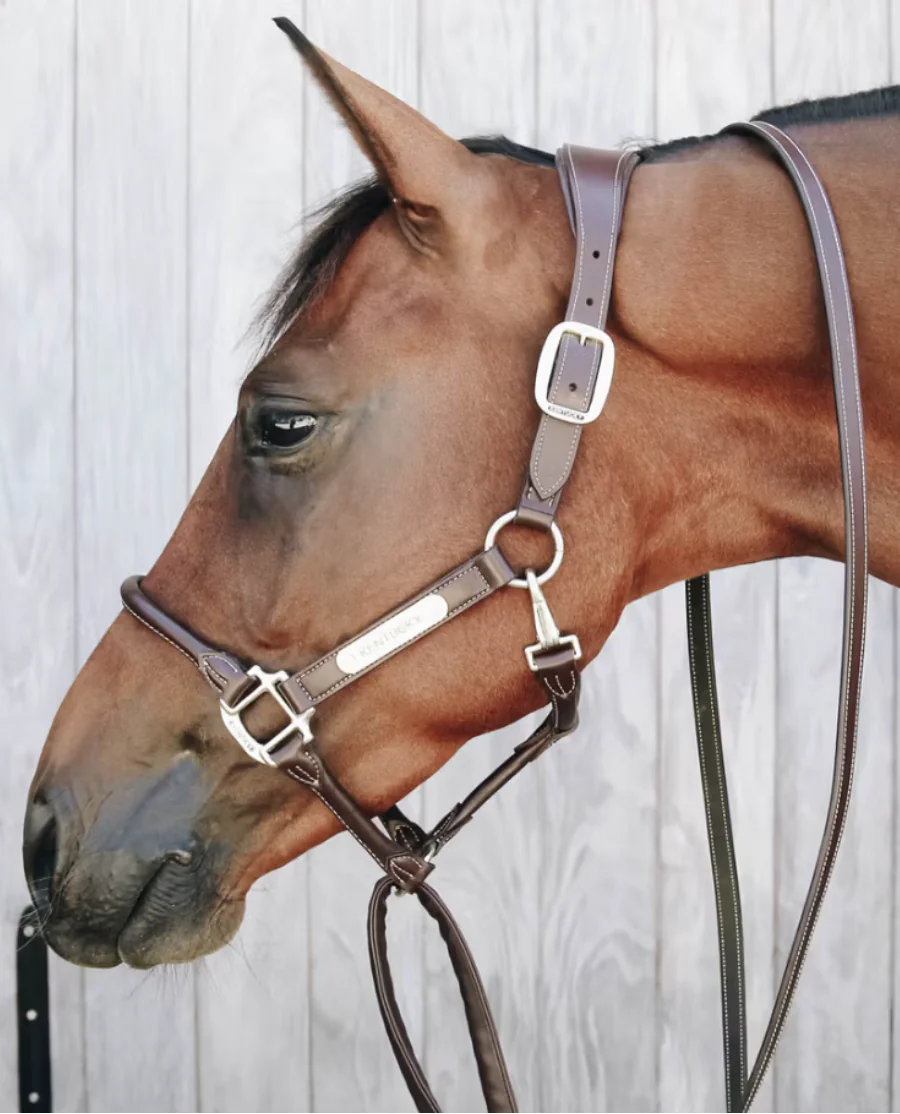 Træktov med Læderbetrukket Kæde fra Kentucky Horsewear