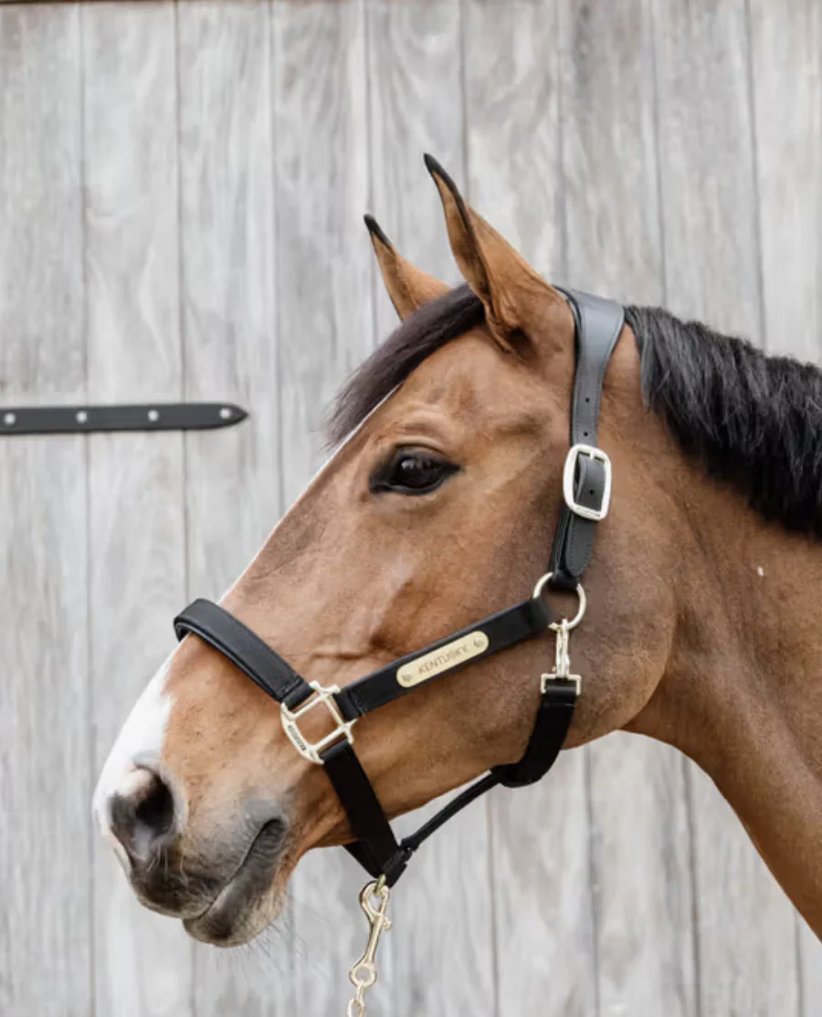 Nylon Anatomisk Grime fra Kentucky Horsewear