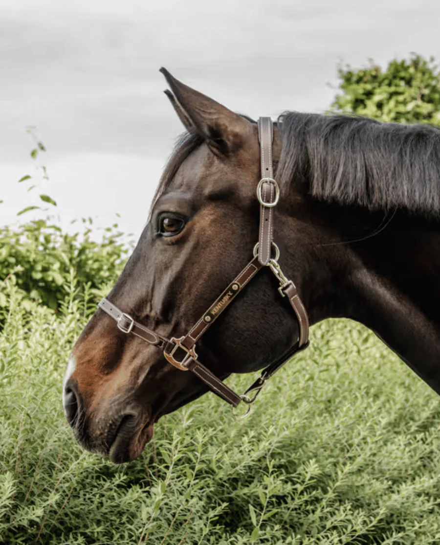 Lædergrime Flexible fra Kentucky Horsewear