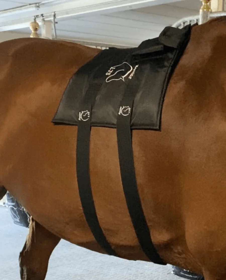 Equine LTS Justerbare Elastikbælter med Velcro 2 STK