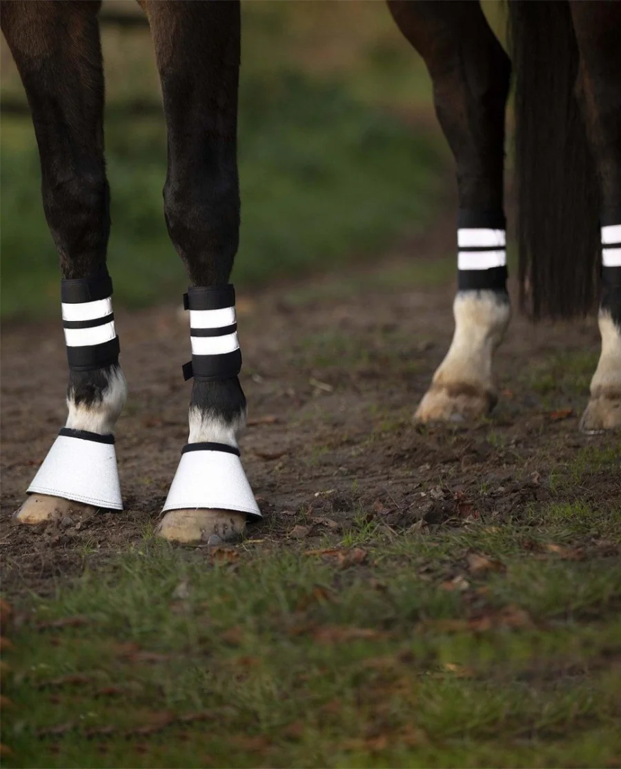 Waldhausen Refleks Bandager 4 pak