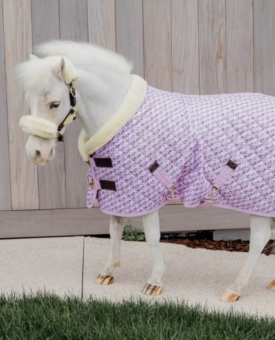 Kentucky Horsewear Show Rug Sammy Collection