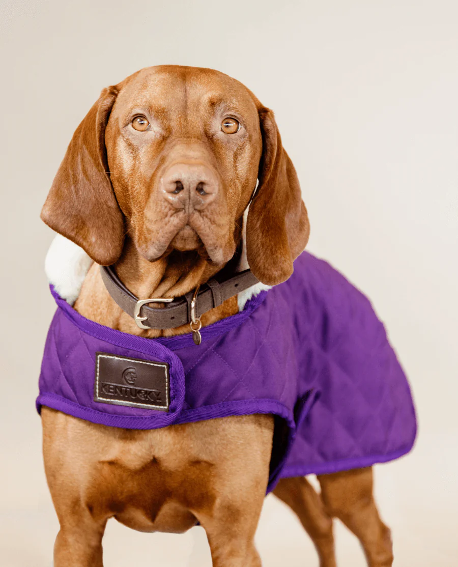 Hundedækken Original fra Kentucky