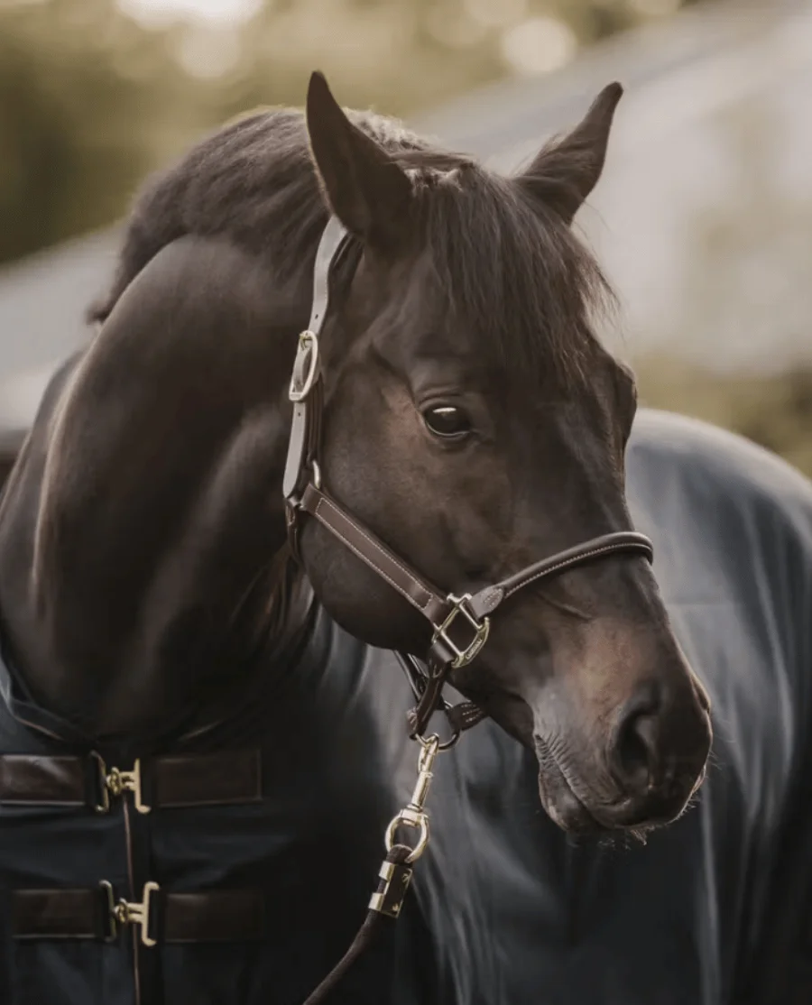 Insektdækken Mesh fra Kentucky Horsewear