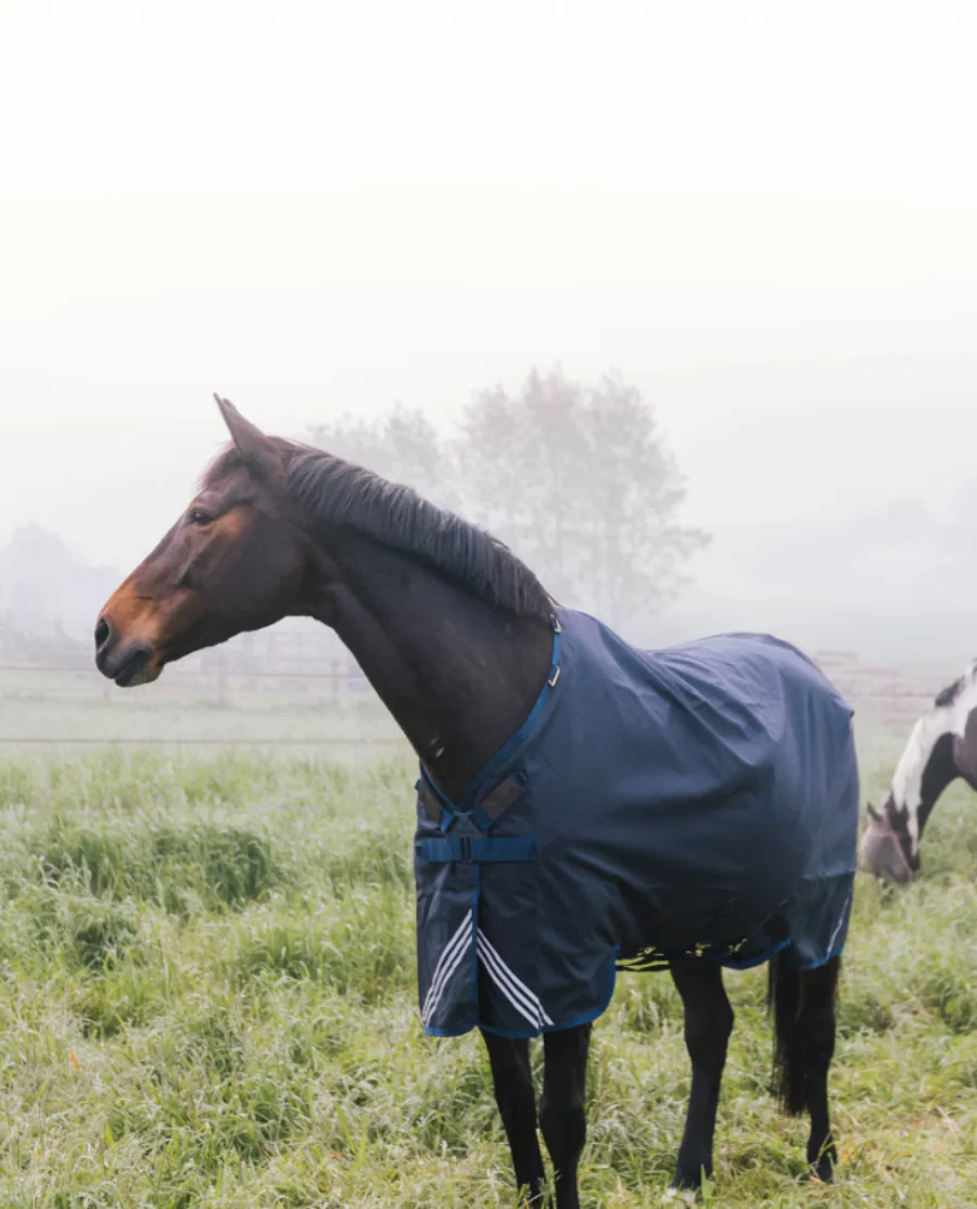 Turnout Rug All Weather Waterproof Comfort 200G fra Kentucky Horsewear