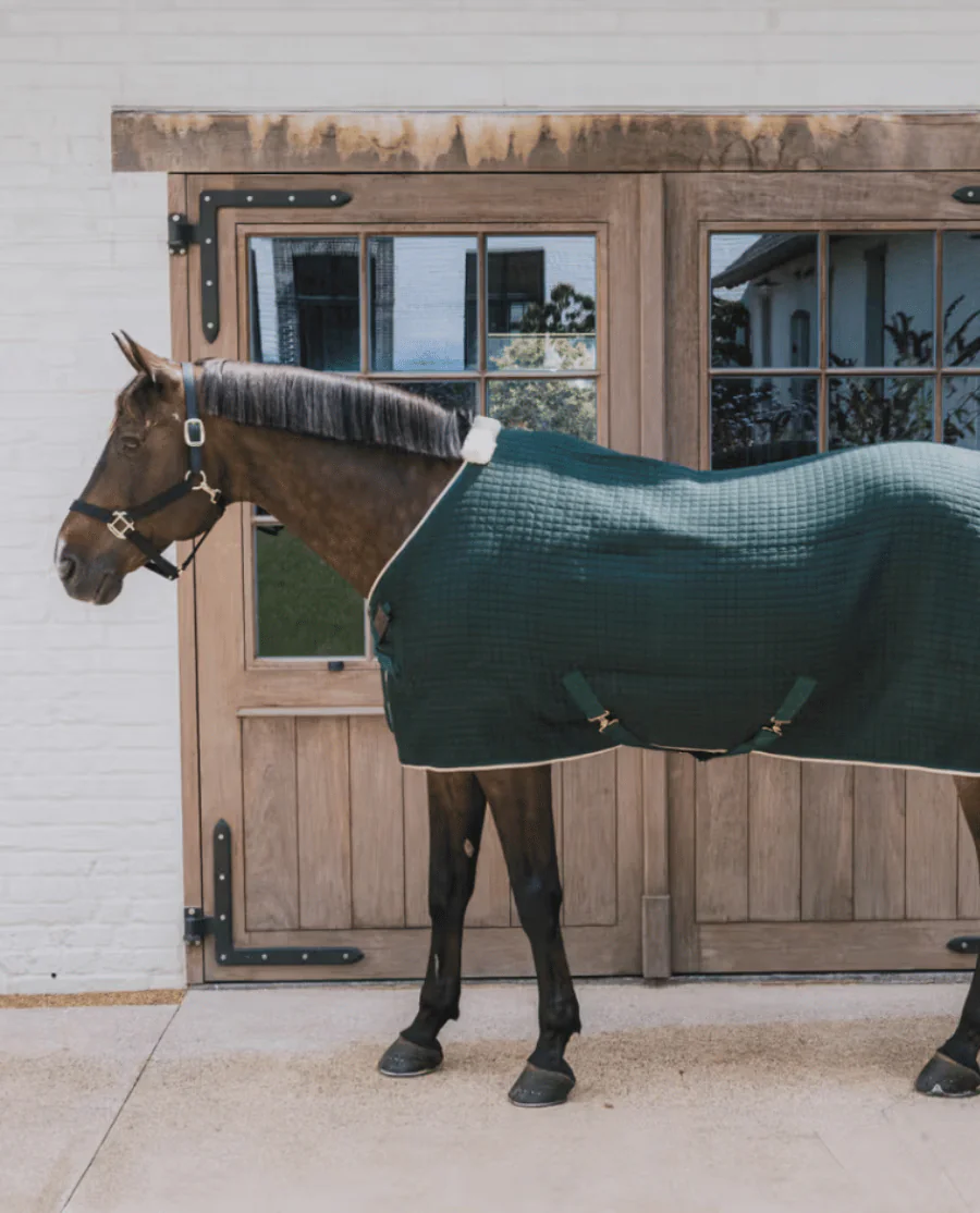 Kentucky Cooler Rug PROTherm