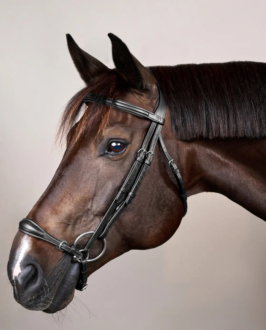 Hannoveransk Trense New English fra Dy'on