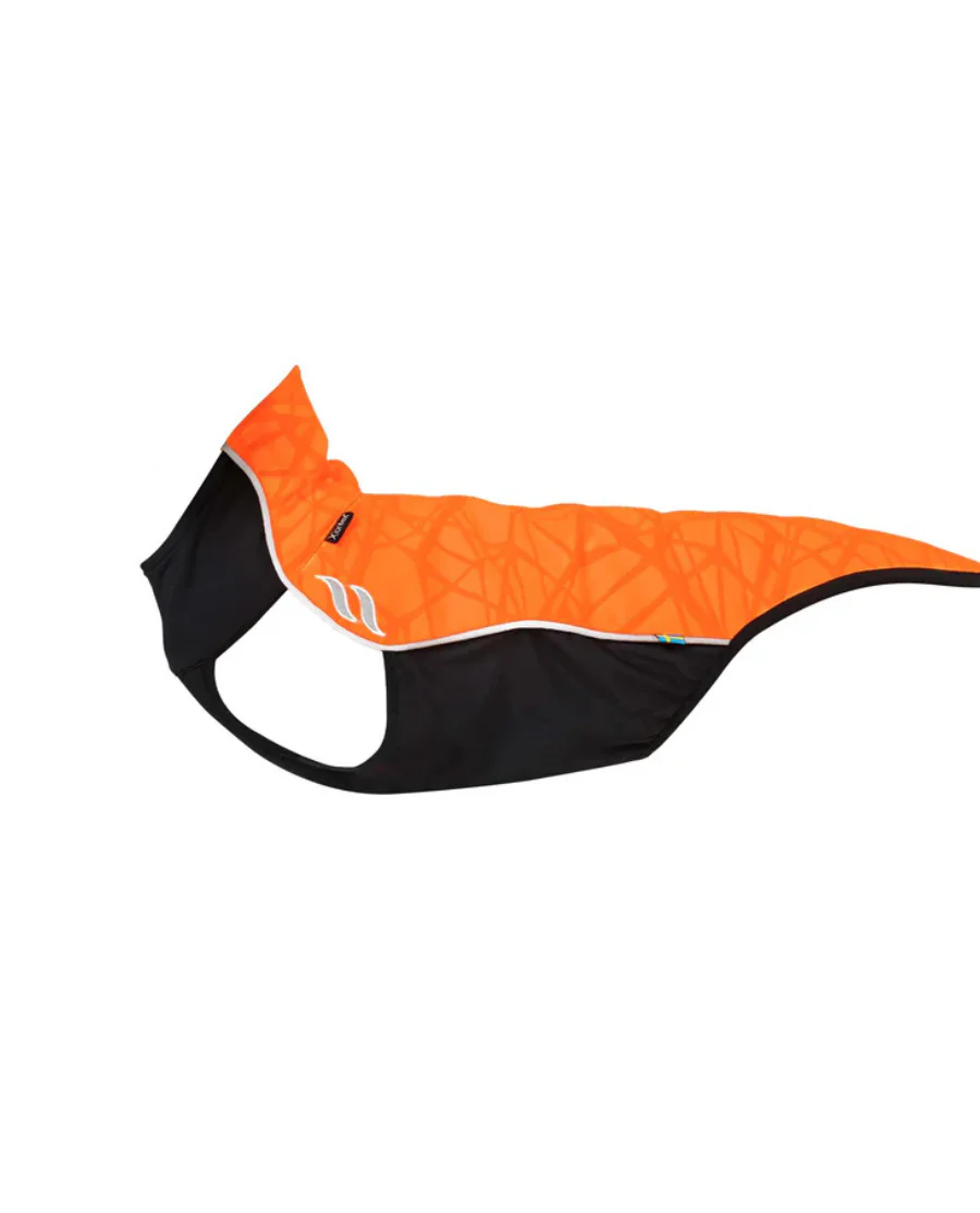 Back on Track Eddie Petite hundetrøje med refleks