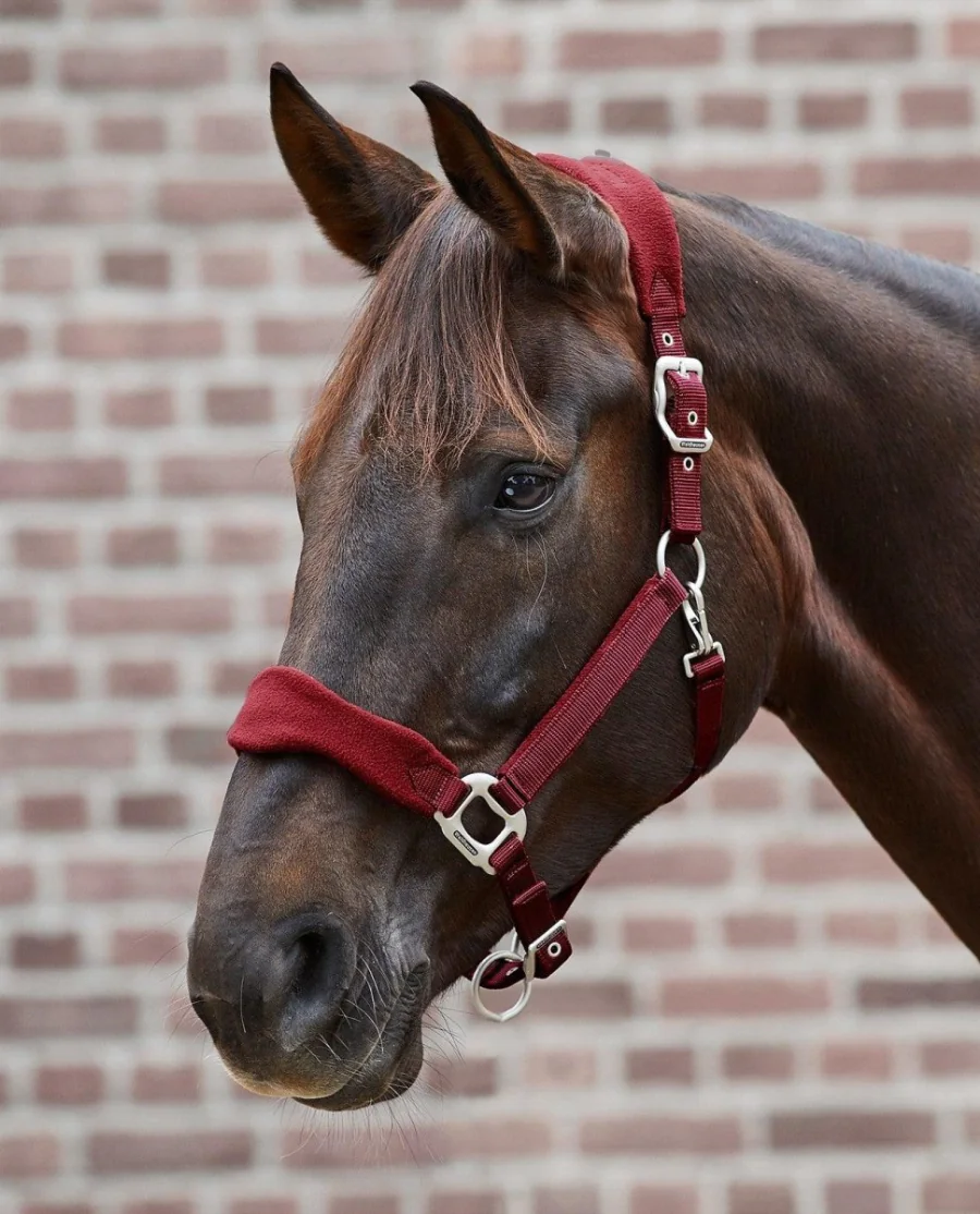 Waldhausen Premium Grime Bordeaux