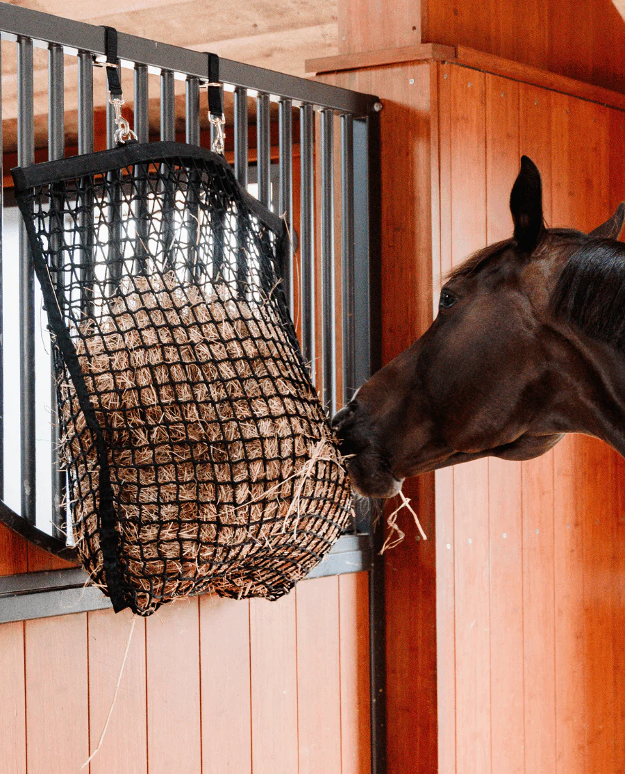 82241 grooming deluxe square haynet easy fill