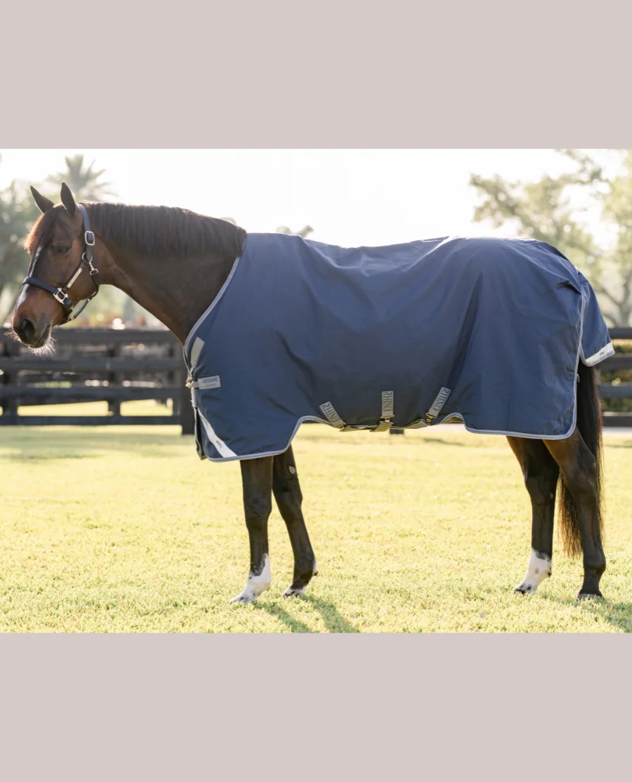 Navy/Titanium Grey and Classic Blue