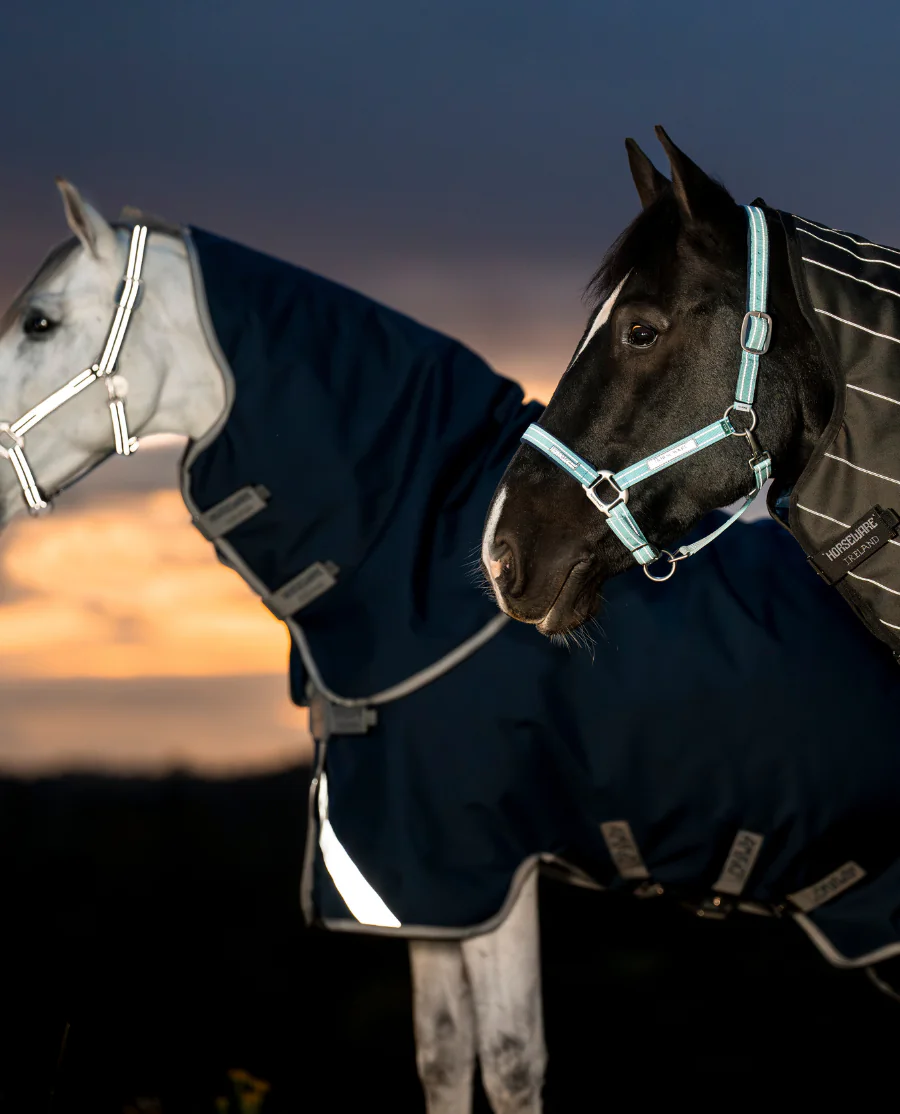 Navy/Titanium Grey and Silver