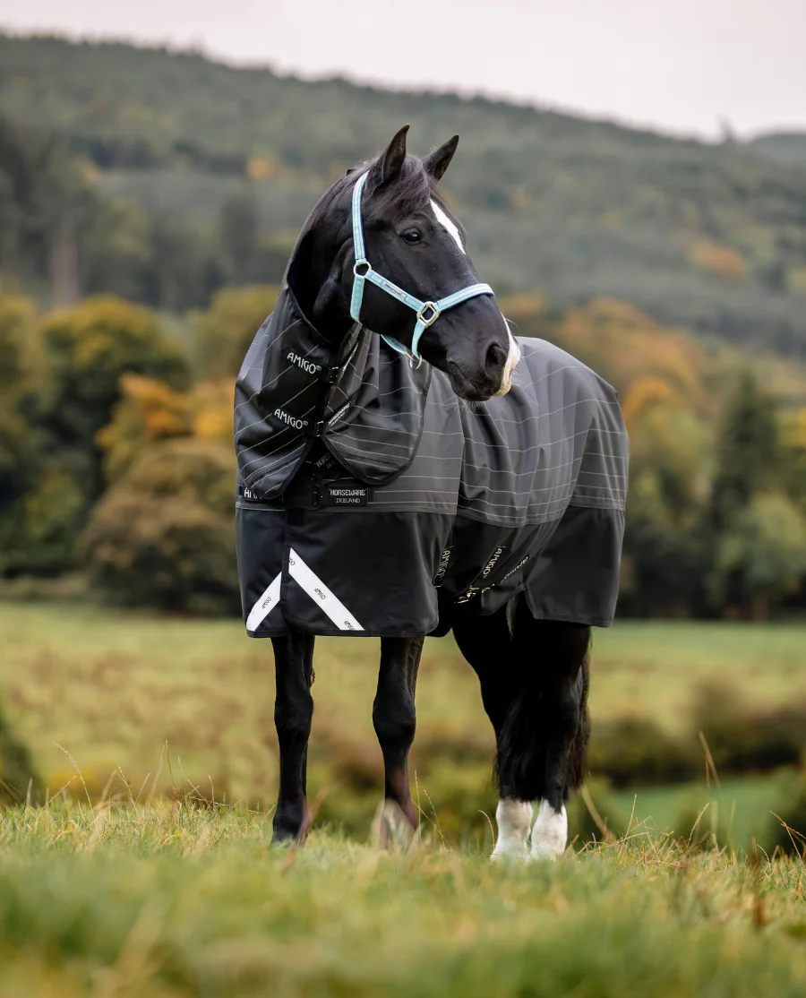  Black/Reflective and Black