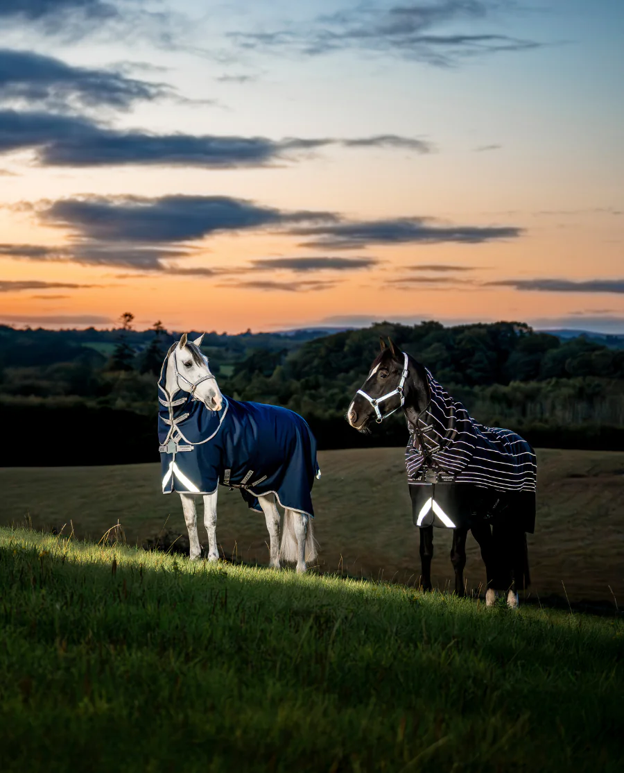 Black/Reflective and Black