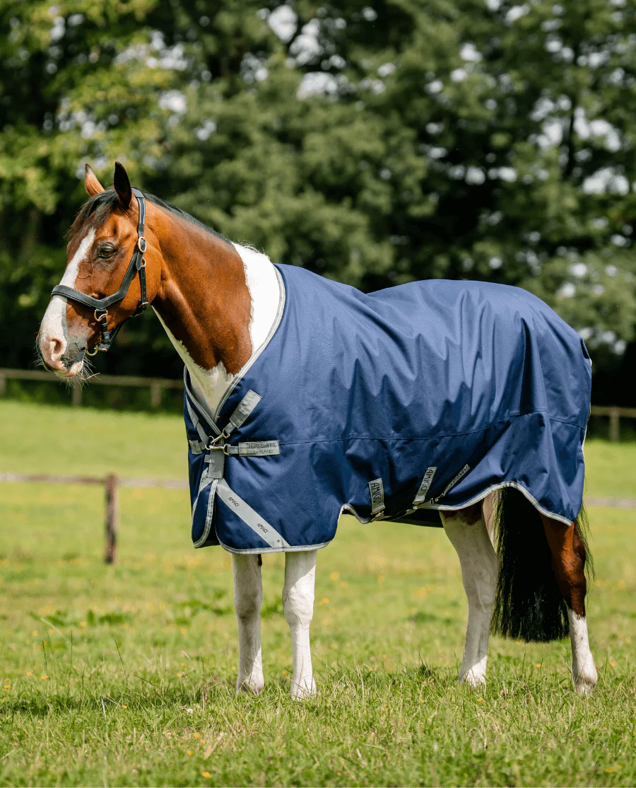 Navy/Titanium Grey and Silver