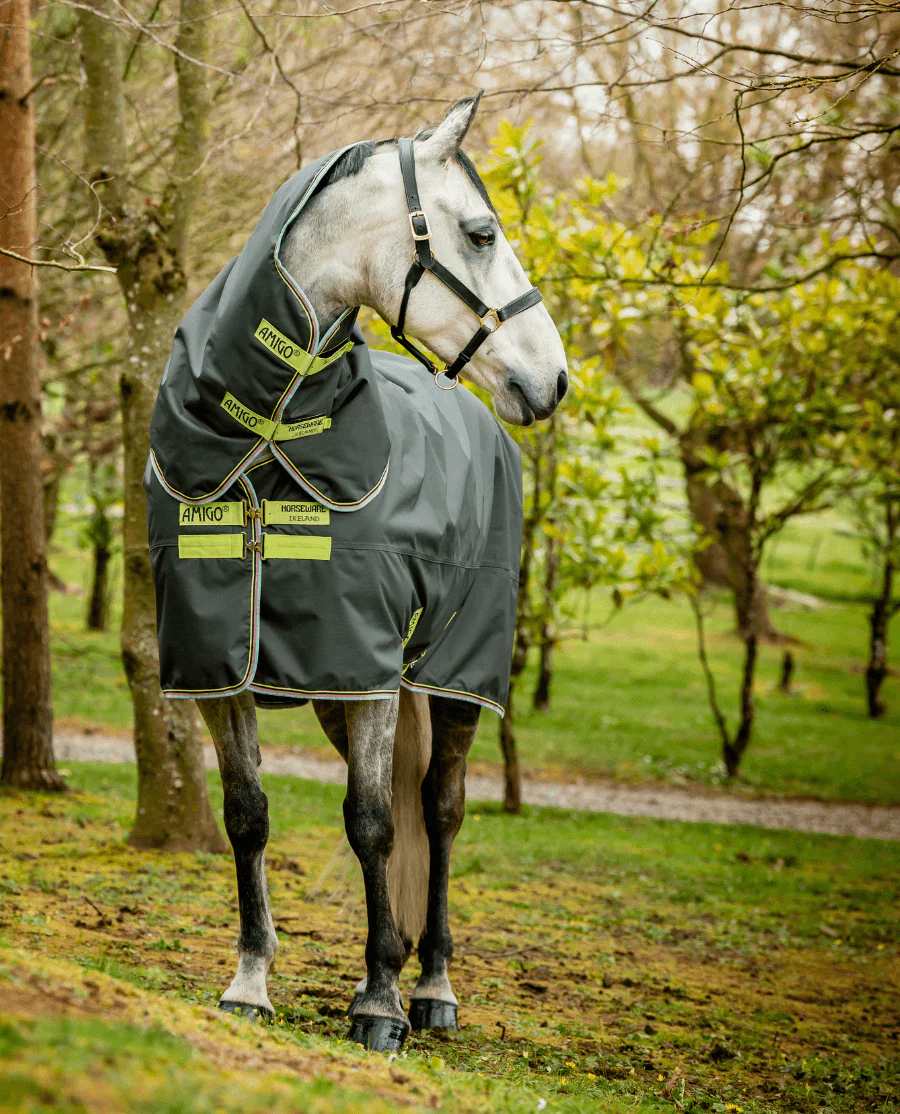 Shadow/Lime and Navy